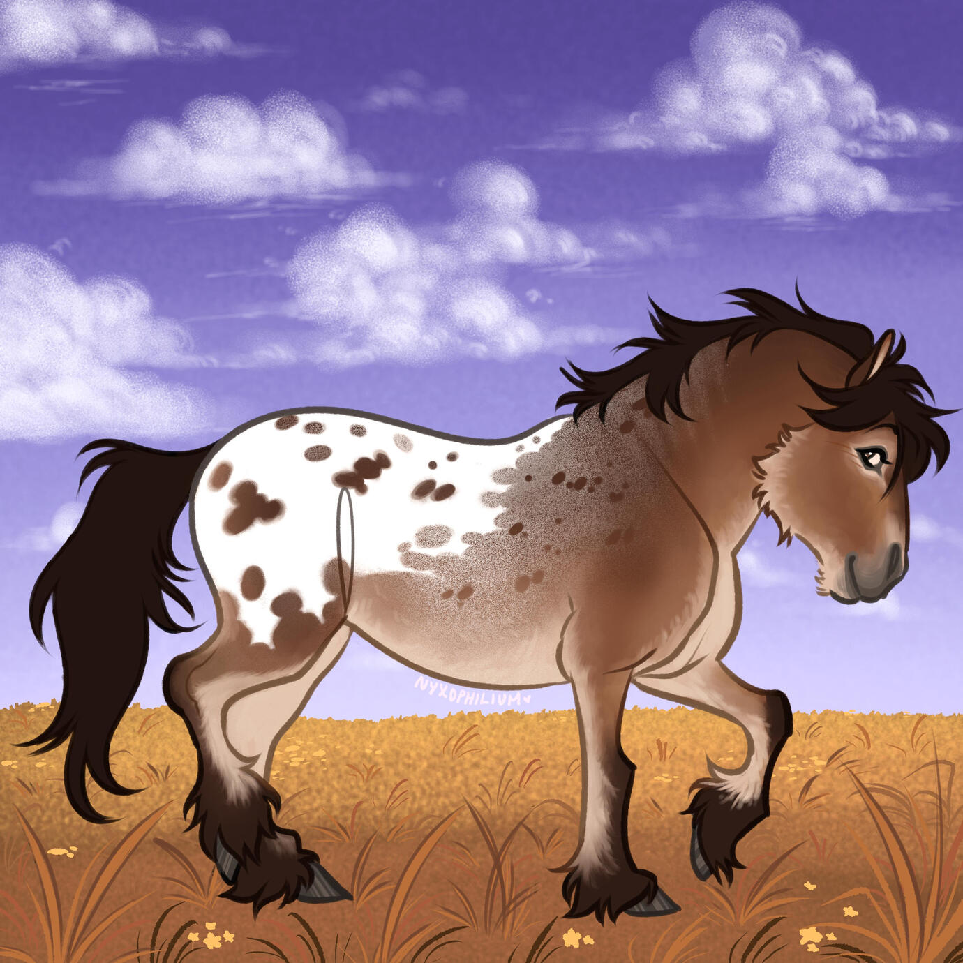 Blanket of Clouds (Summer 2025)